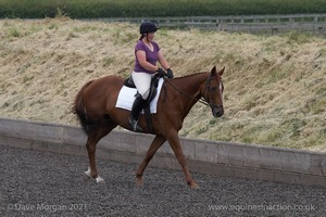 ISIS Dressage Challenge 2008